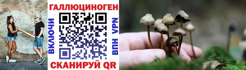 где можно купить наркотик  Архангельск  Галлюциногенные грибы GOLDEN TEACHER 